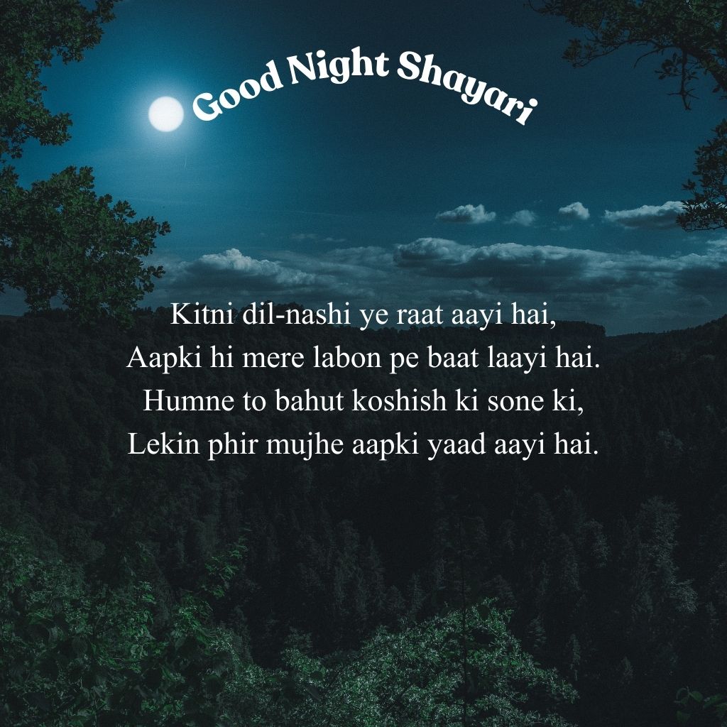 Good Night Shayari in English