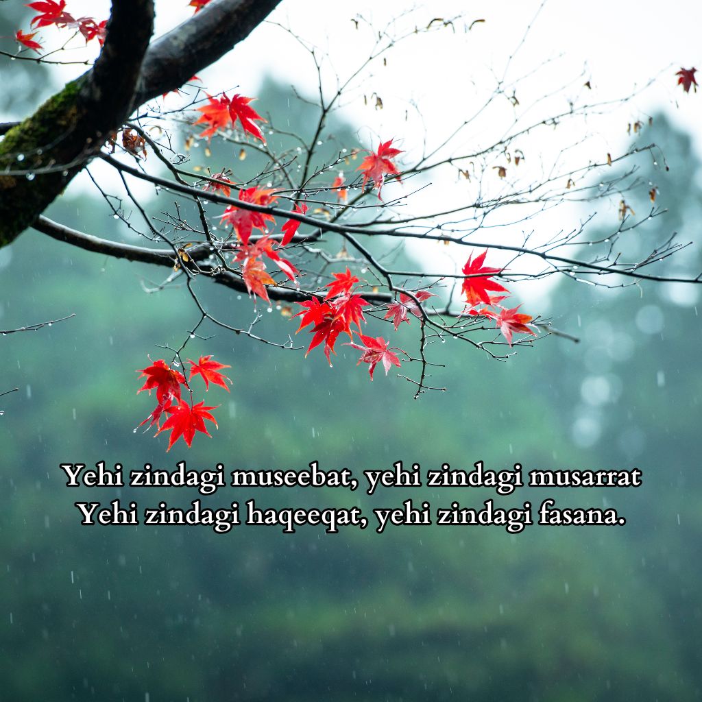 Zindagi Shayari in English