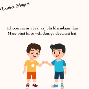brother shayari in English