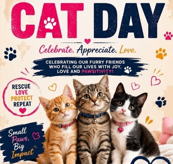 Happy Cat Day 2026